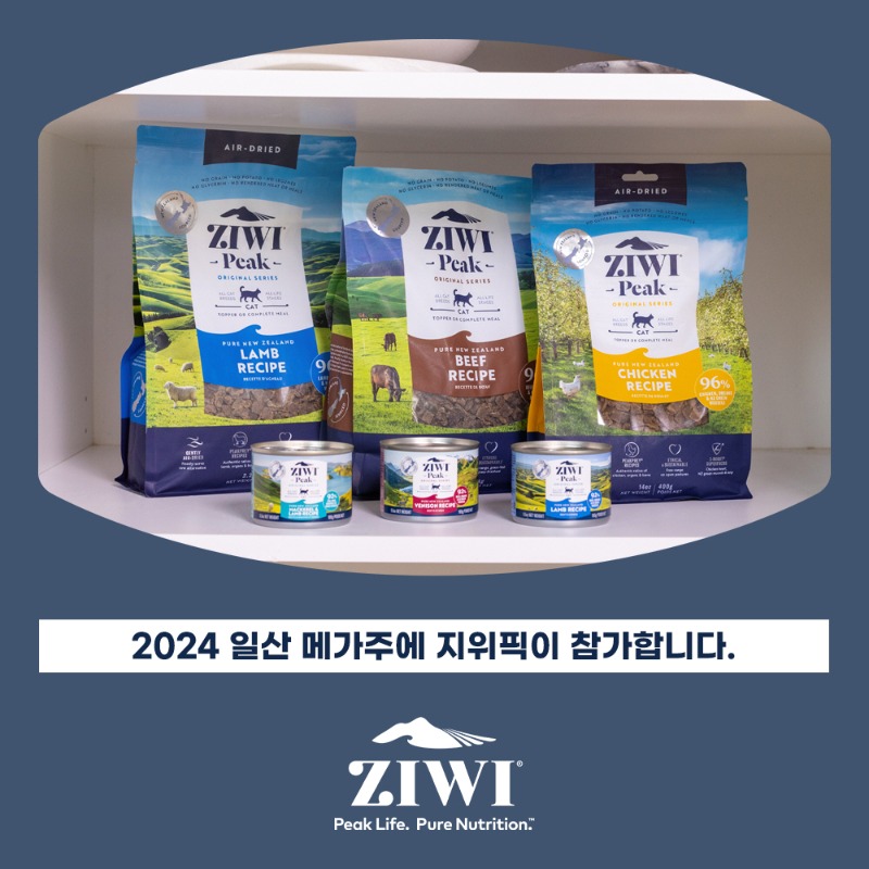 241115_메가주 일산 지위픽 참가.jpg