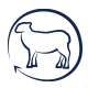 ic_peakprey_lamb_80x80.png