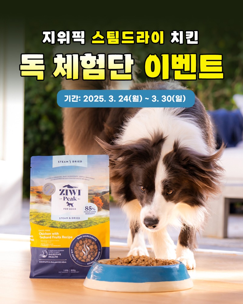 DOG_sd_2503.jpg
